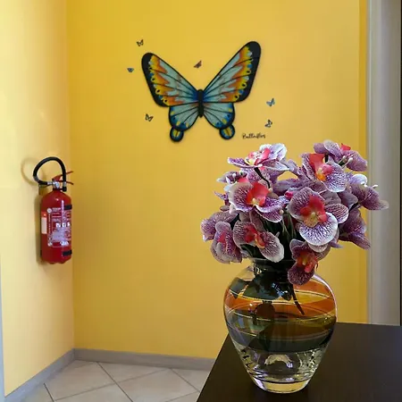 Casa Di Amalia 14 Apartment