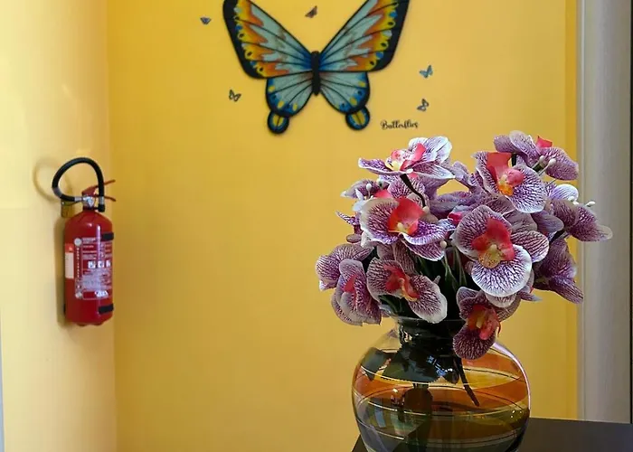 Casa Di Amalia 14 公寓
