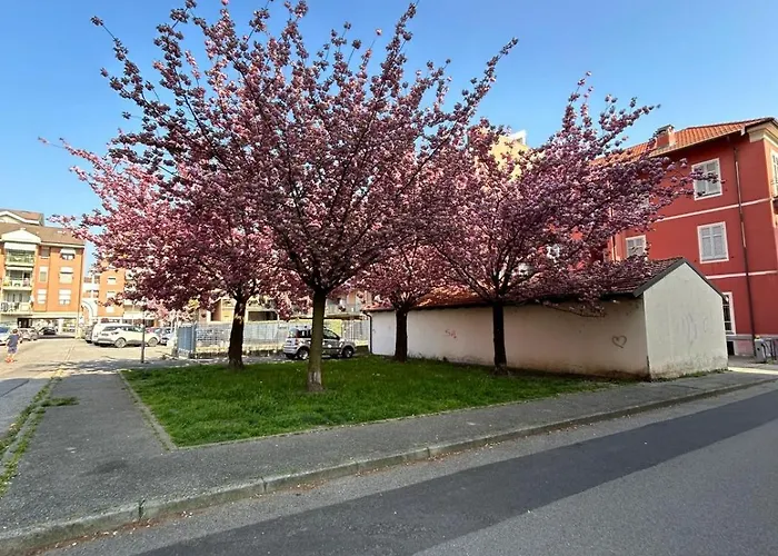 Casa Di Amalia 14 公寓 *